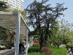 -兰溪青年公园