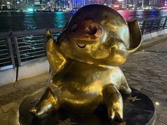 -星光大道