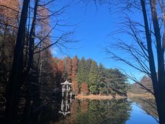 -四明山国家森林公园