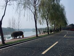 -洨河生态公园