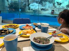 -帝企鹅自助餐厅•儿童岛•真企鹅(长隆企鹅酒店)