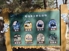 -青藏高原野生动物园
