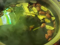 炭炉果鸡煲-威邵鸡煲(西华路总店)