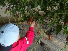 -杨柳青园艺科技博览园