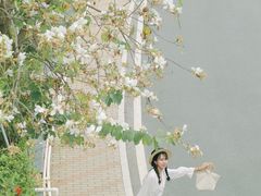 -小南山公园