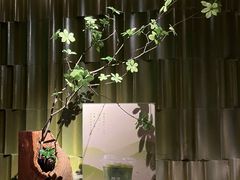 -隐溪茶馆(静安寺店)