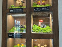 -菌自由丨野生菌火锅特色庭院餐厅(丽江古城店)