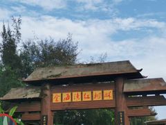 -北海金海湾红树林生态旅游区