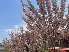 -南京市江宁方山