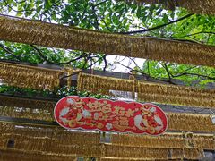 -白马涧龙池景区