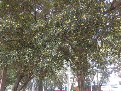 -桂林电视台(安新北路)