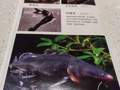 -鱼豆吉·豆浆鱼火锅(宜昌万达店)