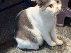 -有记家厨(后龙西街店)