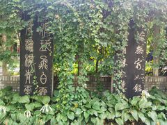 -碑林公园