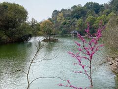 -千岛湖东南湖区