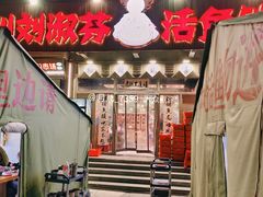 -刘淑芬·活鱼铁锅炖(北京首店)