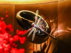 -秀儿四九城·新京菜(亚运村鸟巢店)