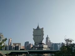 -洪馨椰子