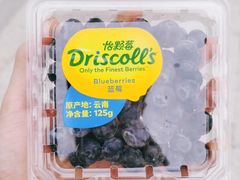 -白石龙音乐公园
