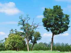 -汉长安城未央宫国家考古遗址公园