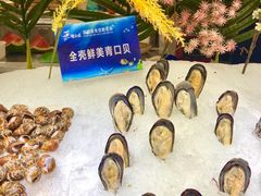 青口贝-锤头鲨毛肚海鲜烤肉自助餐厅(国购广场店)