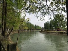 -蜀绣公园