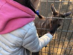 -费瑟代尔野生动物园