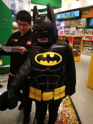 -乐高品牌旗舰店(人民广场店)