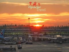 -谢列梅捷沃国际机场