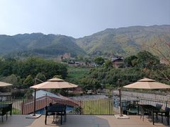 -缙云山景区