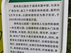 -燕鸣岛