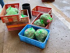 -白沙洲农产品大市场海鲜交易区