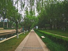 -元大都城垣遗址公园