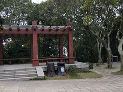 -东河市场