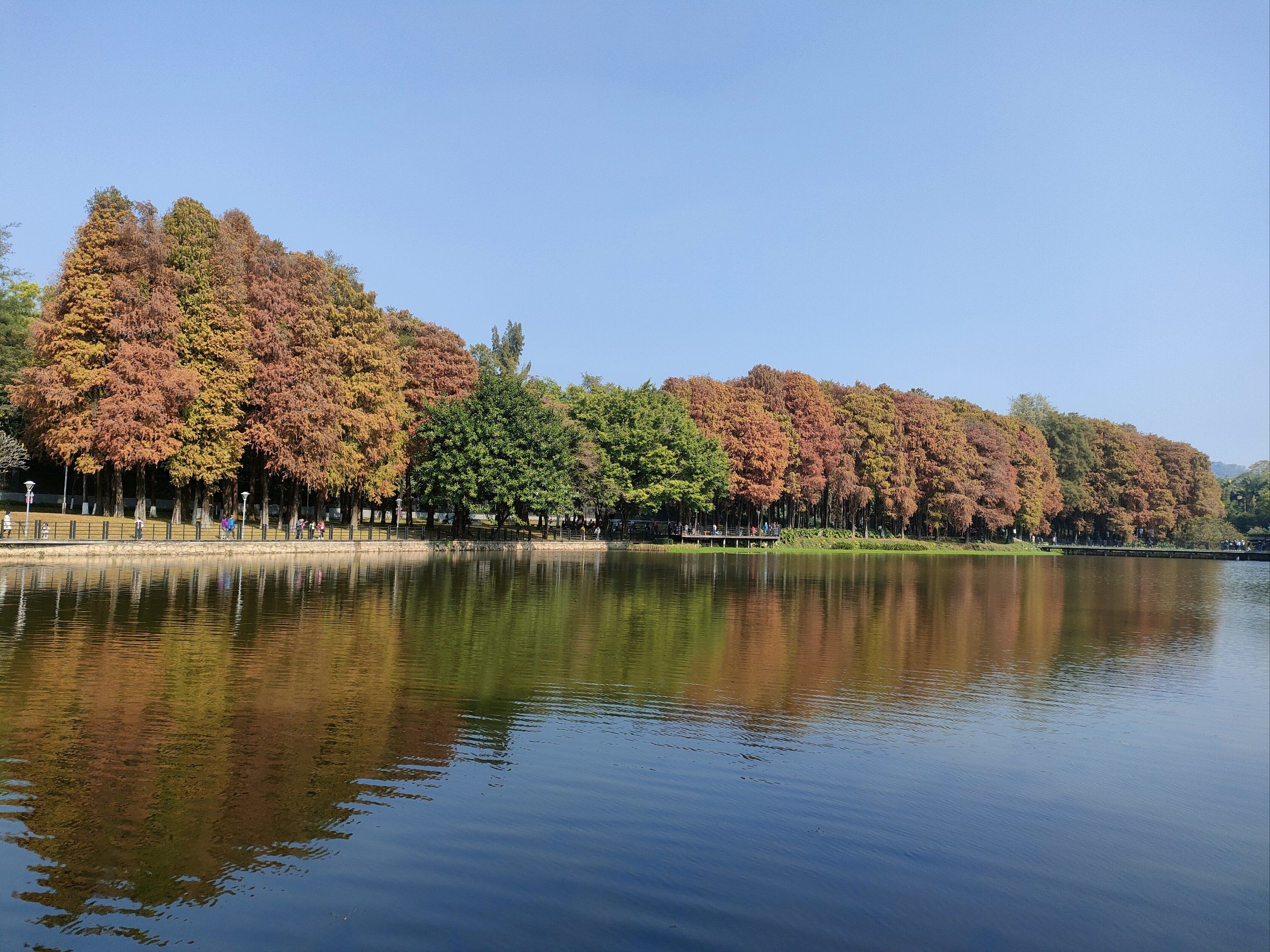 天天领红包 白云湖位于广东省广州市白云区,是城市绿心,也是广州市最
