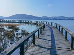 -长广溪湿地公园
