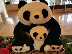 -成都保利公园皇冠假日酒店(熊猫基地店)