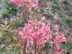 -海合安武汉极地海洋公园