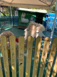 -萌宠亲子动物乐园(槐房万达店)