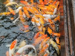 -厦门日月谷温泉渡假村