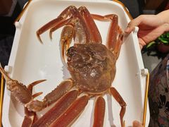 -蟹将军·松叶蟹和牛日料放题自助(K11店)