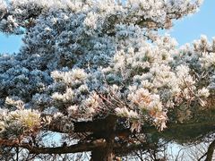 -安吉龙王山风景区