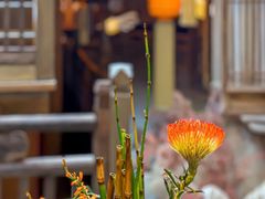 -叶叶菩提(太原别墅店)