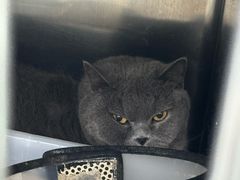 -爱侣宠医·鹦鹉专科·小型哺乳类·异宠专科(灵石路店)