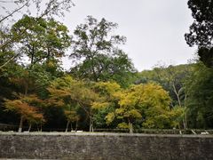-镇江市南山风景名胜区竹林景区