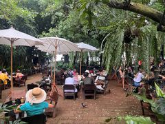 -Fern Forest Cafe