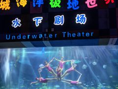 -泉城欧乐堡海洋极地世界