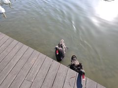 -杭州师范大学(下沙校区)