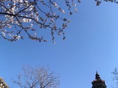 -颐和园