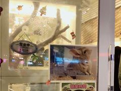 -龙猫仔乐园(惠福东路店)